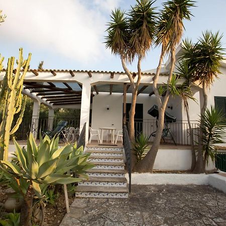 Villa Nadia Con Splendida Vista Mare 카스텔라마레델골포 외부 사진