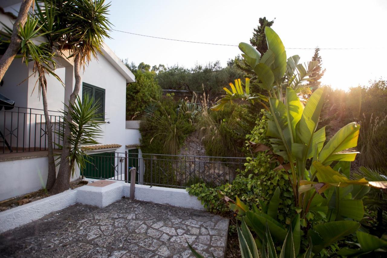 Villa Nadia Con Splendida Vista Mare 카스텔라마레델골포 외부 사진