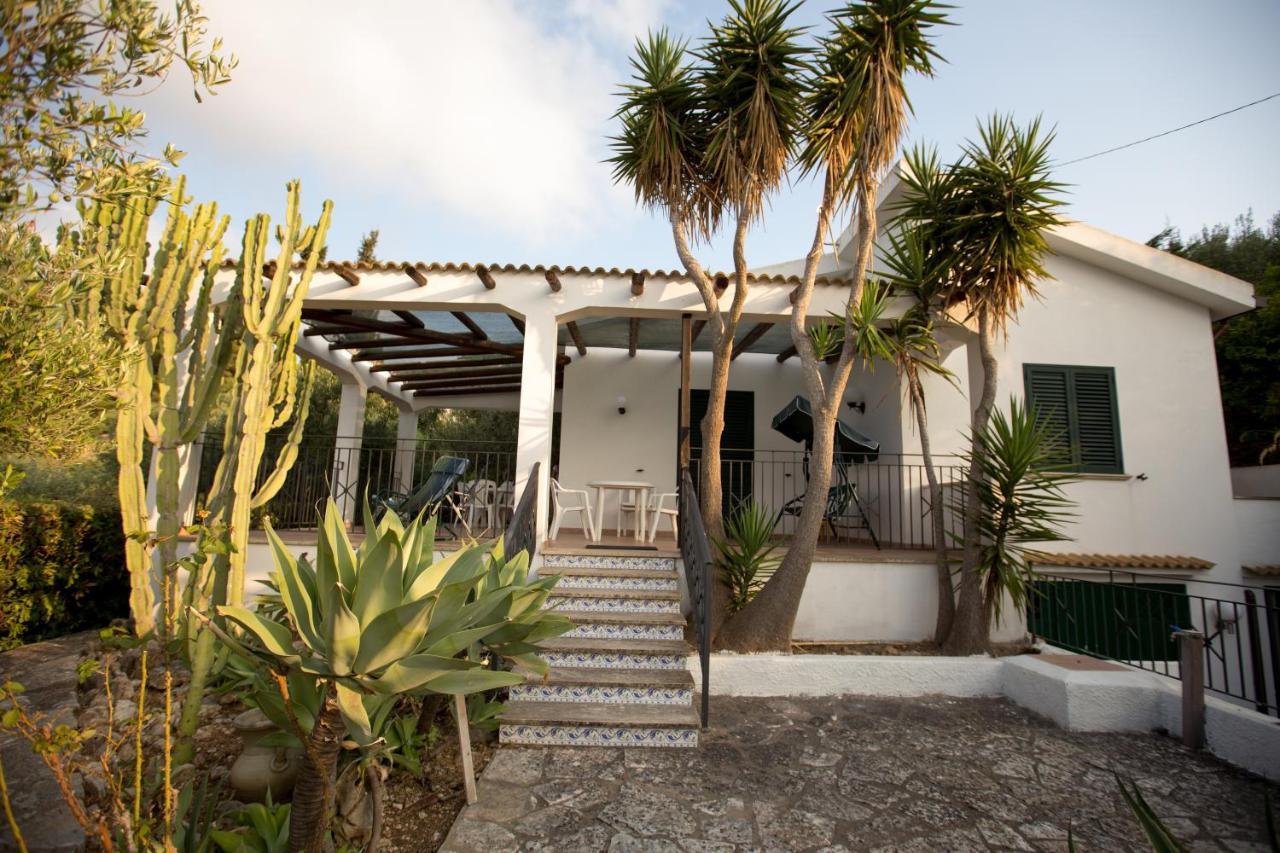 Villa Nadia Con Splendida Vista Mare 카스텔라마레델골포 외부 사진