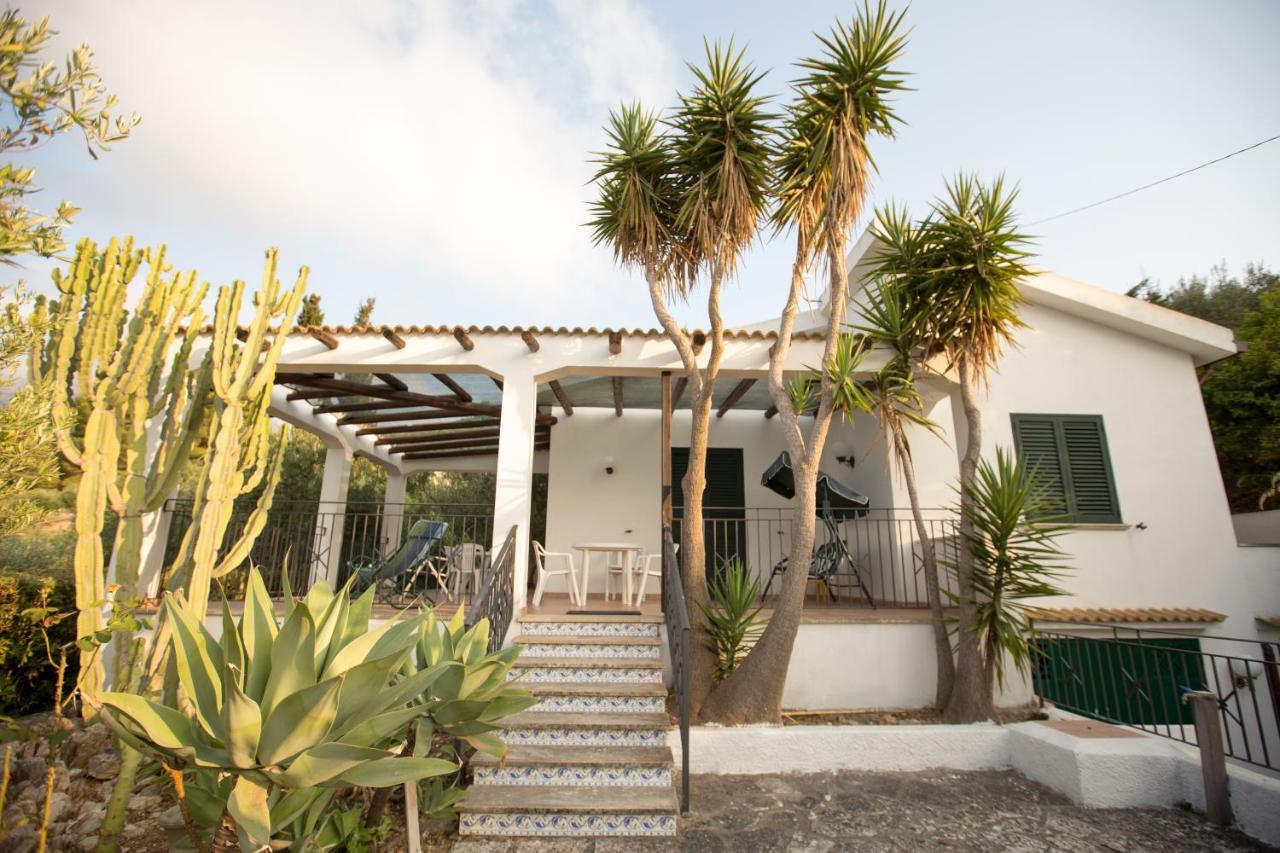 Villa Nadia Con Splendida Vista Mare 카스텔라마레델골포 외부 사진