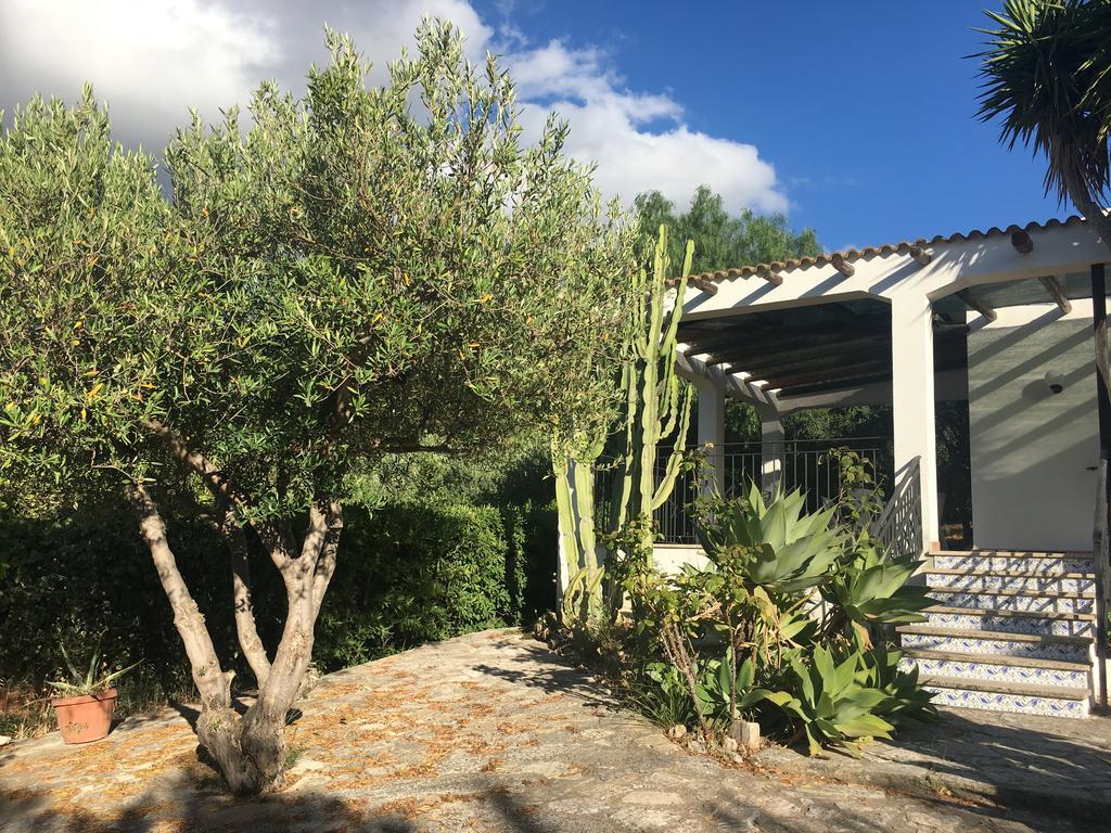 Villa Nadia Con Splendida Vista Mare 카스텔라마레델골포 외부 사진